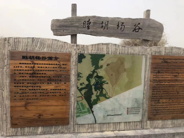 網(wǎng)貸被騙如何處理？深圳經(jīng)濟(jì)糾紛律師為您講解