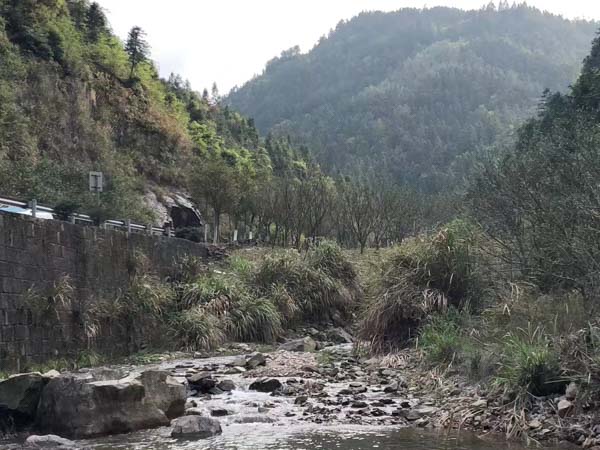 離婚糾紛中房產的分割該如何進行？深圳房產案件律師為您解答