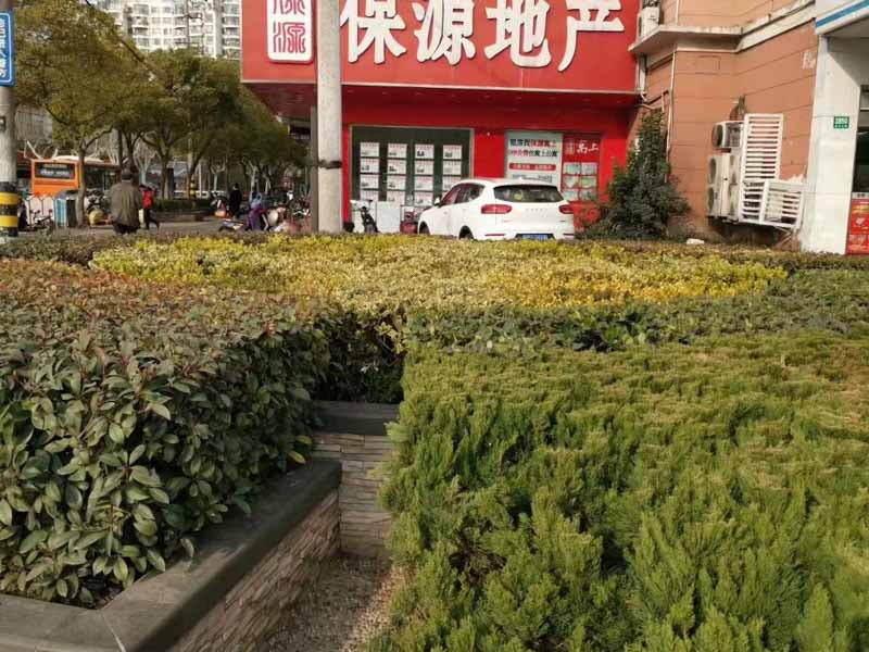 行政機(jī)關(guān)以公文的形式作出的行為是否具有可訴性？深圳法律顧問：不可一概而論