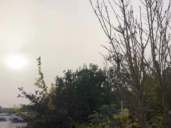 深圳刑事辯護律師為您解答搶劫罪的認定需要考慮哪些方面
